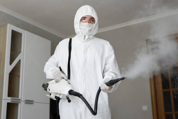  Columbia Falls, MT Mold Removal Pros